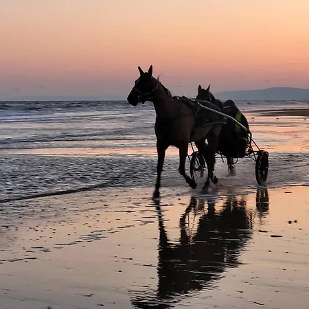 Appartamento T2 à 300m De La En Normandie – Balcon, Parking Et Local Vélo Inclus - Fr-1-788-21