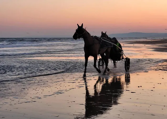 Appartamento T2 à 300m De La En Normandie – Balcon, Parking Et Local Vélo Inclus - Fr-1-788-21